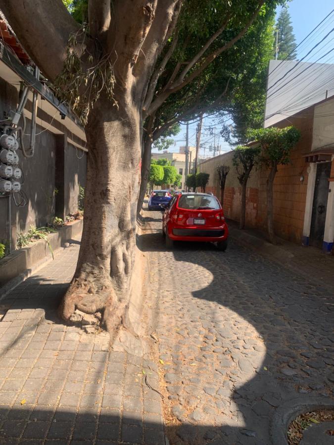 Coyoacan Magico Мехико Экстерьер фото